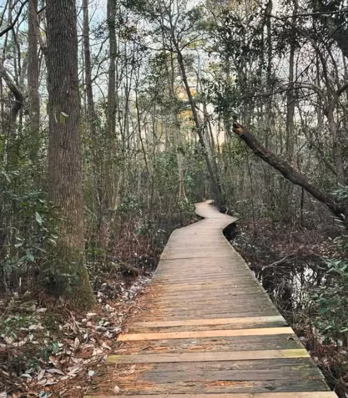 First Landing State Park Beach Access