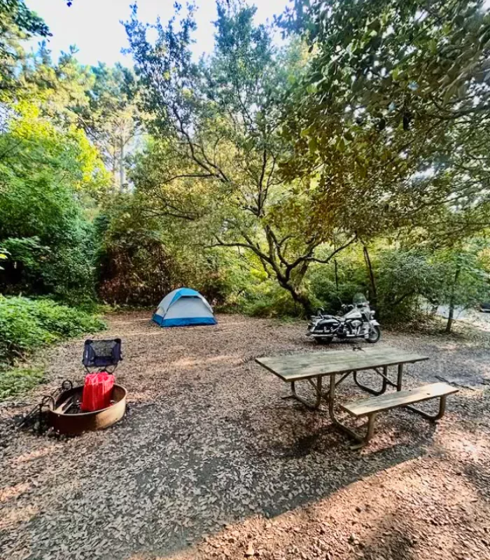 First Landing State Park