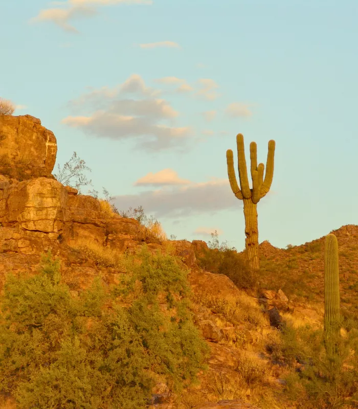Florence Arizona
