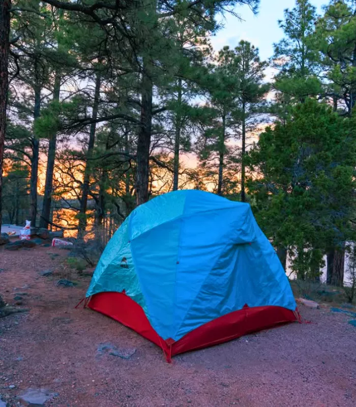 Fool Hollow Lake Recreation Area