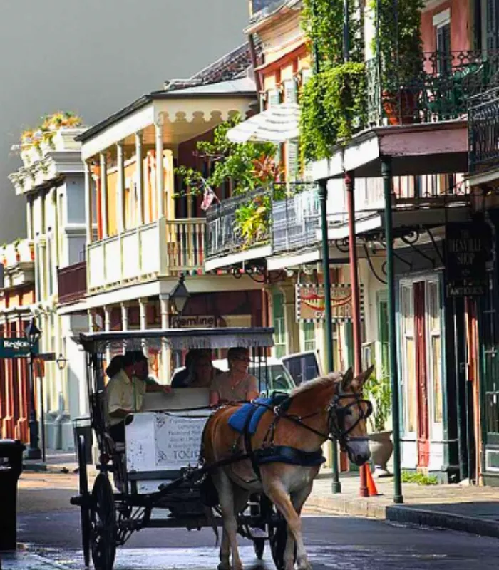 French Quarter Horse Drawn Carriage Tours New Orleans