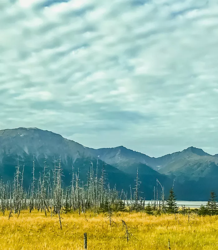 Girdwood Alaska