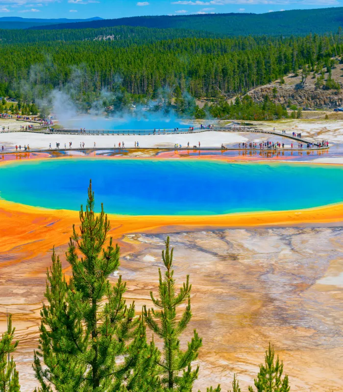 Grand Prismatic Spring