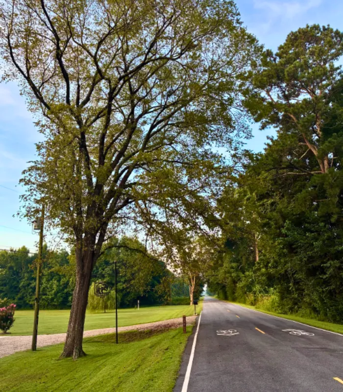 Great Dismal Swamp Canal Trail