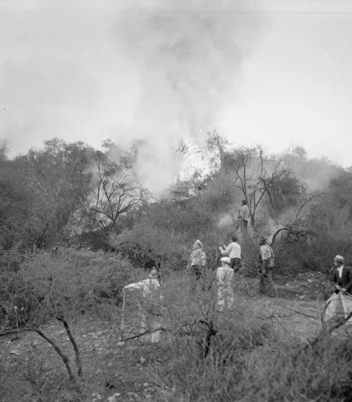 Griffith Park Fire California