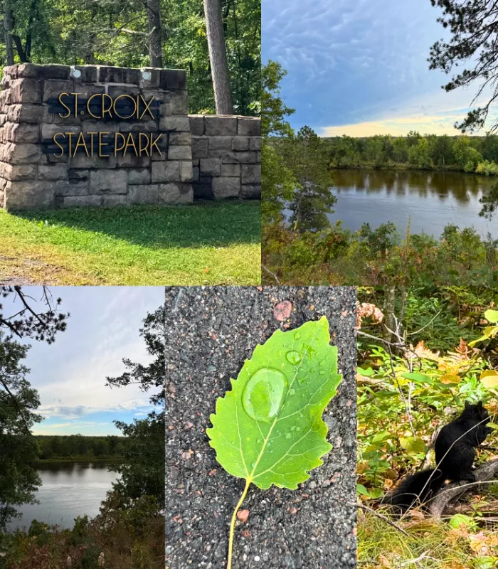 Hinckley Minnesota.webp