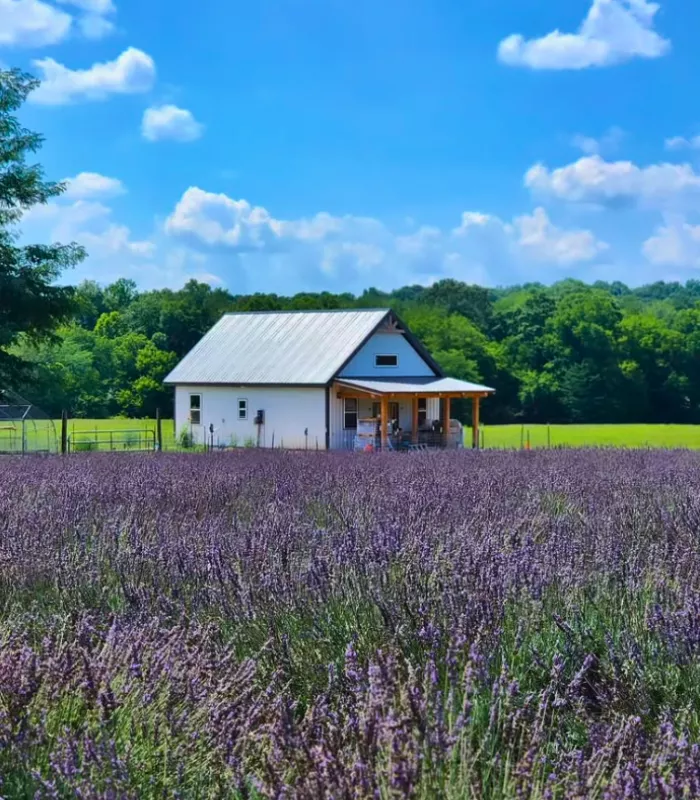 Hohenwald Tennessee