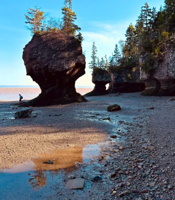 Hopewell Rocks Beach New Brunswick