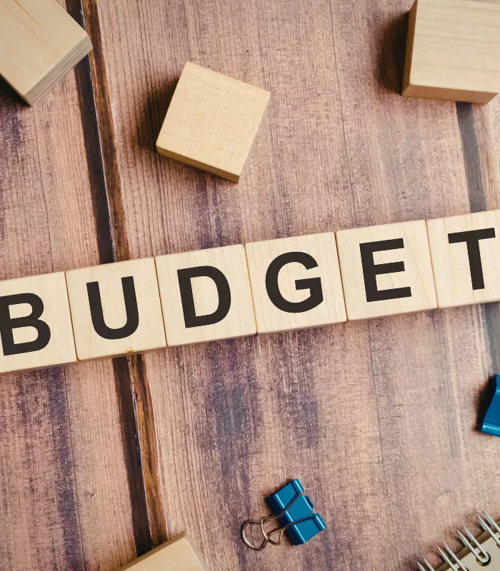 Ignoring a Shopping Budget