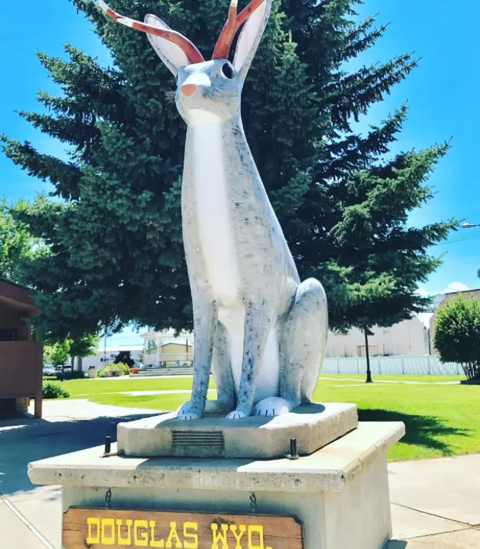 Jackalope Square Douglas