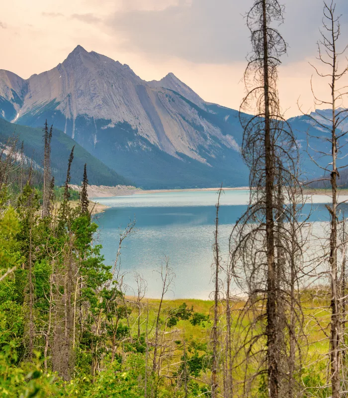Jasper National Park