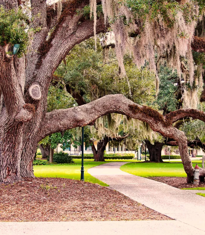 Jekyll Island Georgia