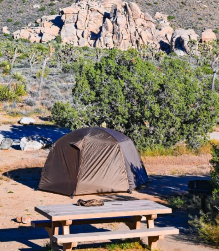 Joshua Tree National Park Campgrounds