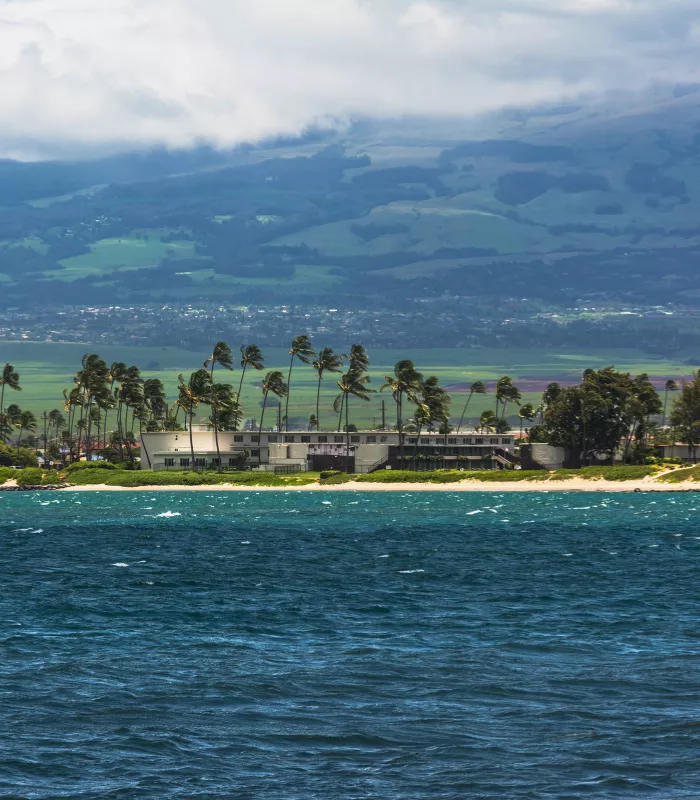 Kahului Hawaii.webp