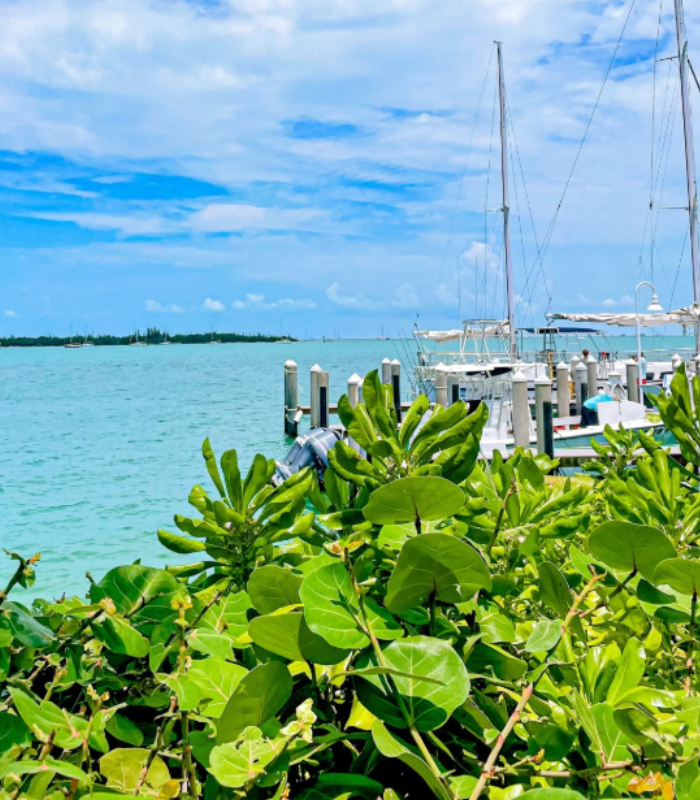 Key West Florida.webp