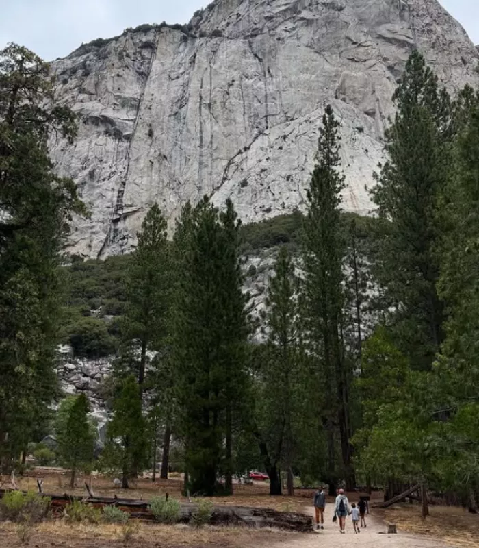 Kings Canyon National Park California