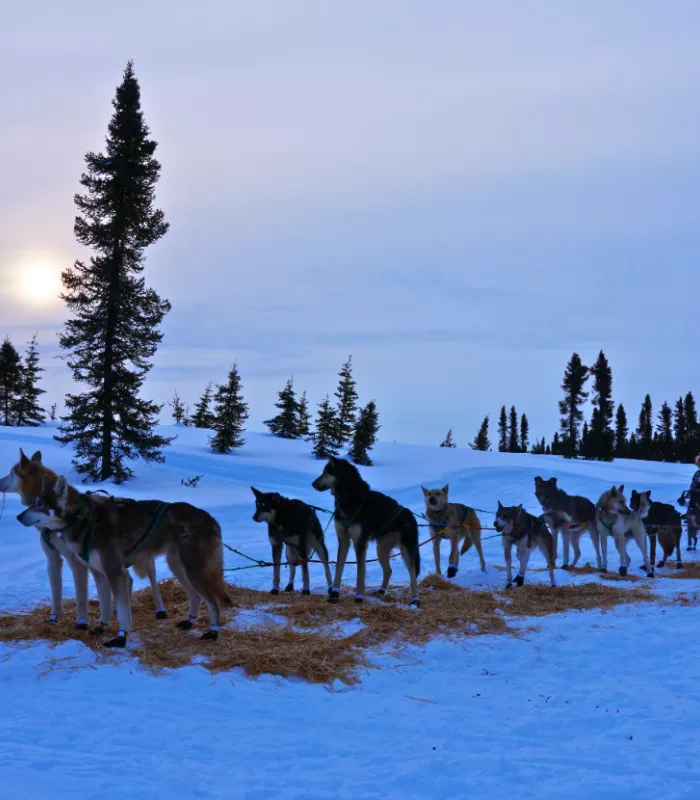 Kobuk Valley National Park Alaska