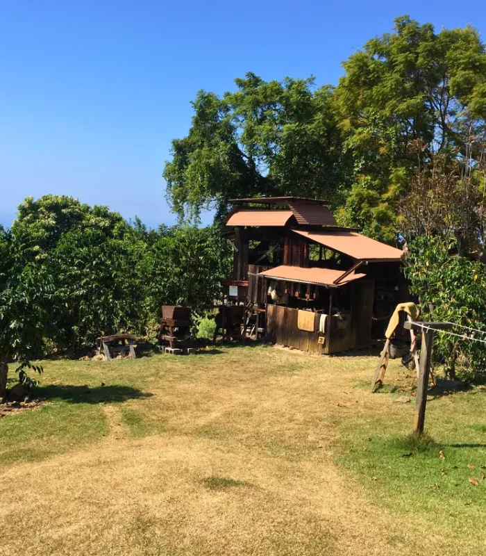 Kona Coffee Living History Farm Big Island