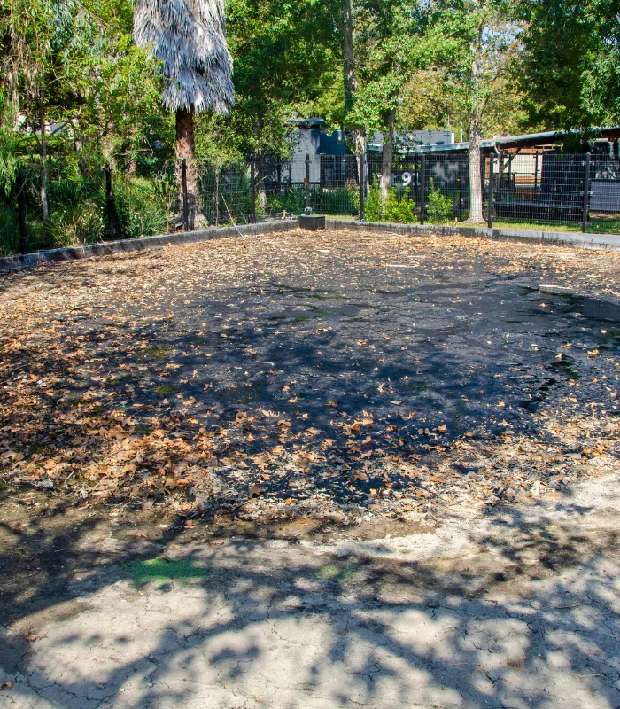 La Brea Tar Pits Los Angeles