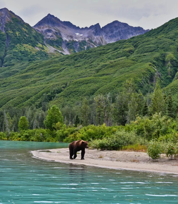 Lake Clark National Park Alaska