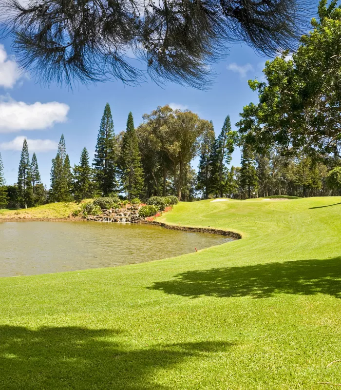 Lanai City Hawaii.webp