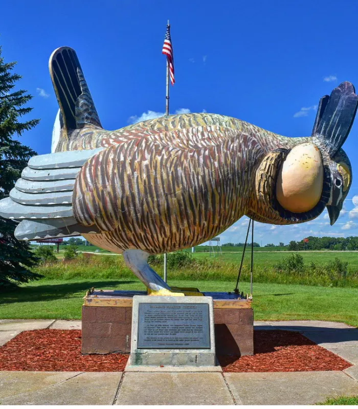 Largest Prairie Chicken Rothsay