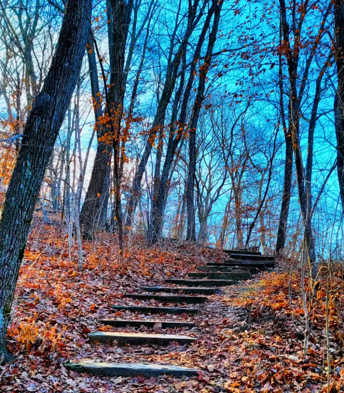 Ledges State Park Trails Iowa