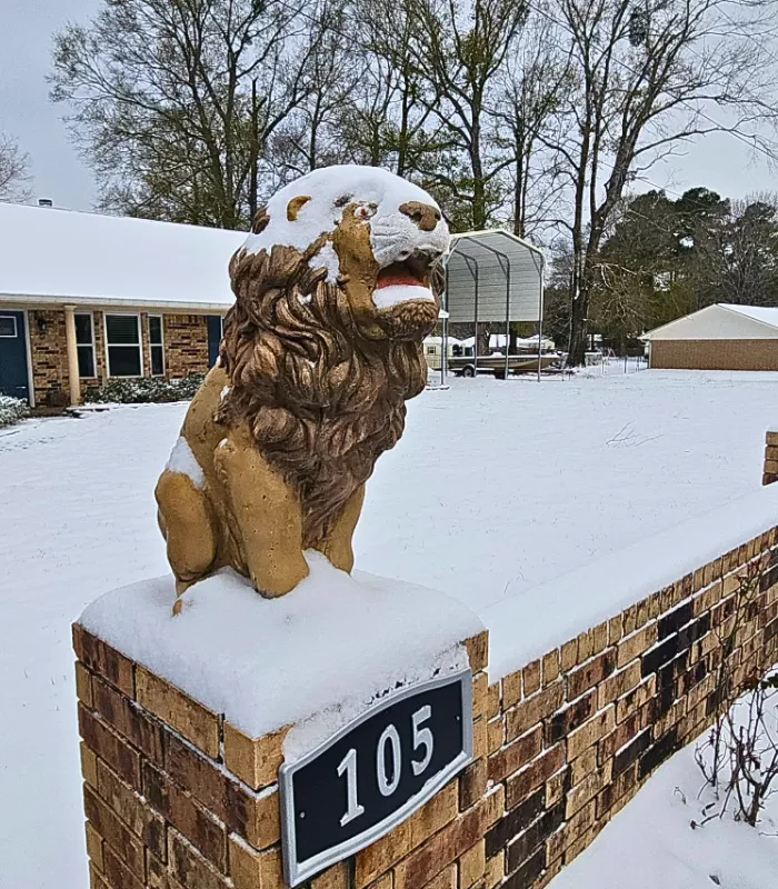 Leesville Louisiana.webp