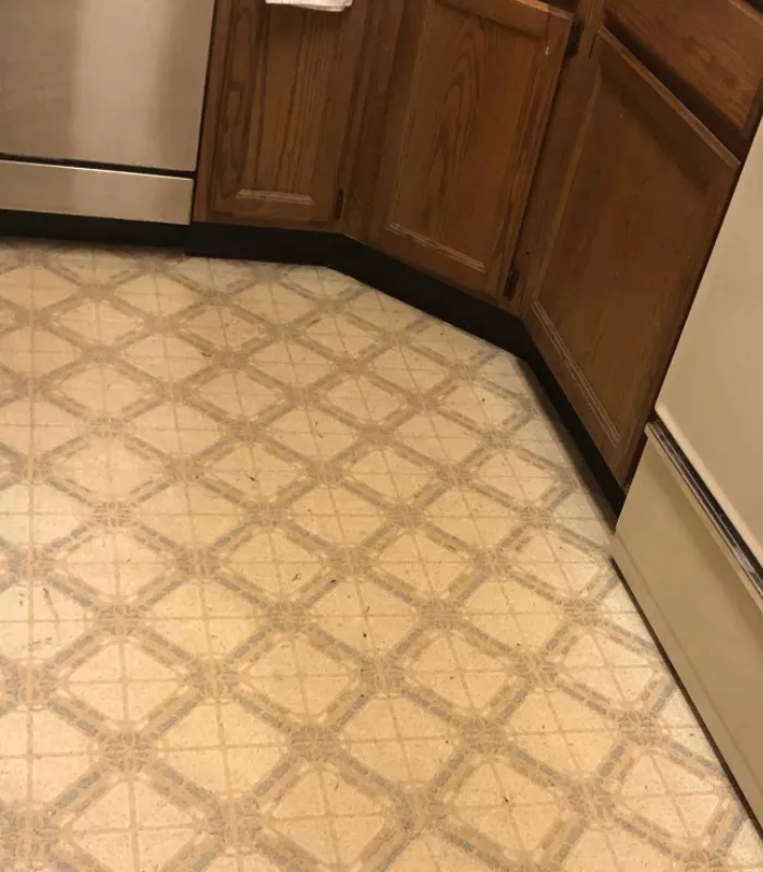 Linoleum Floors