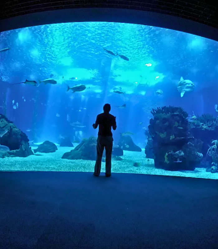 Lisbon Oceanarium 1