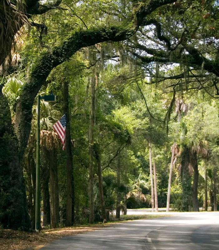 Live Oak Florida.webp