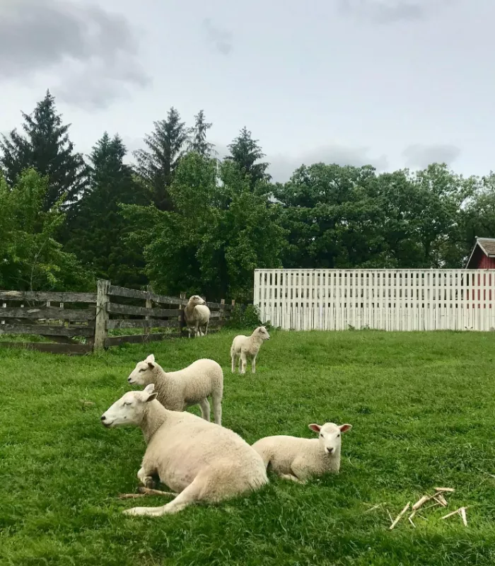 Living History Farms Iowa
