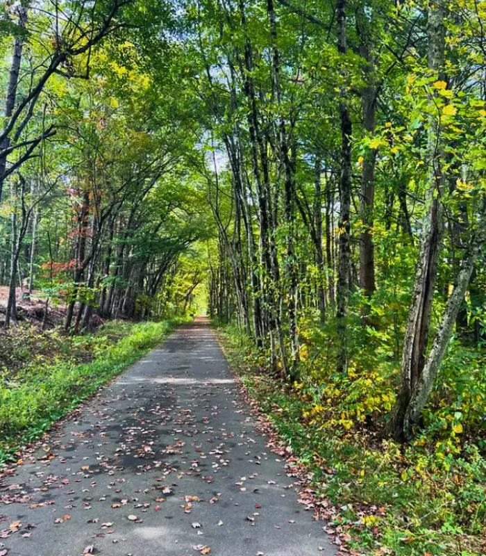Londonderry New Hampshire