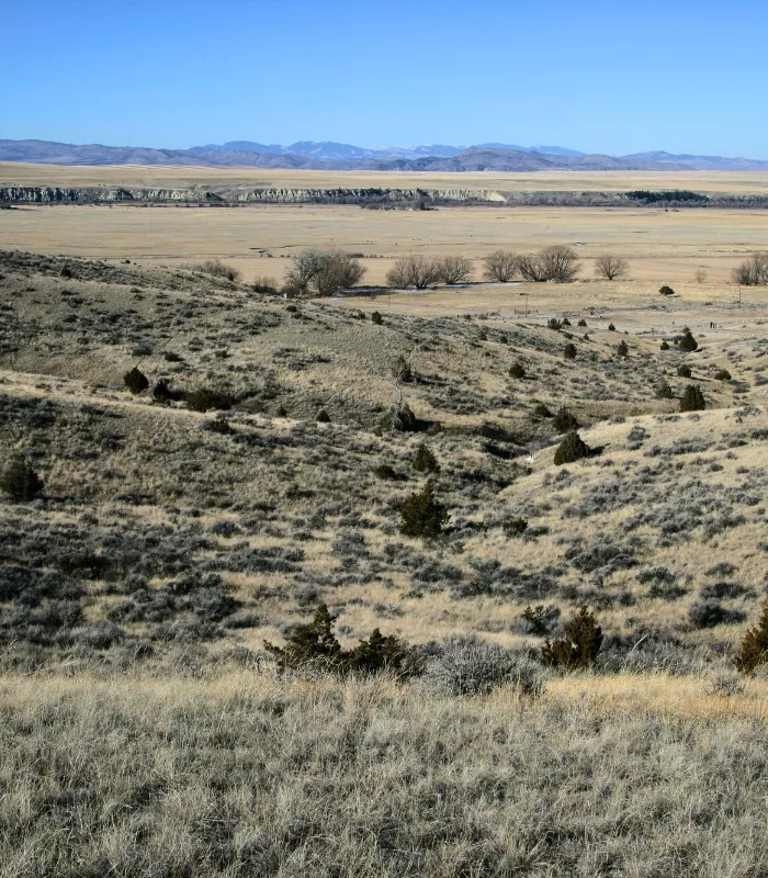 Madison Buffalo Jump State Park