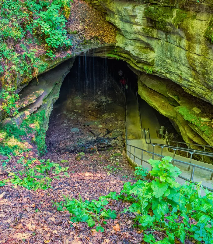Mammoth Cave National Park Kentucky