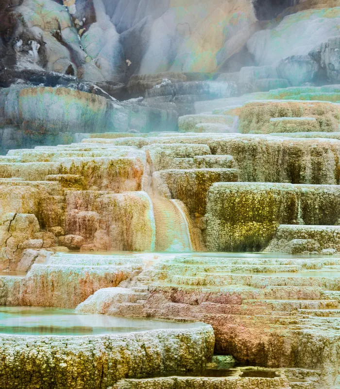 Mammoth Hot Springs