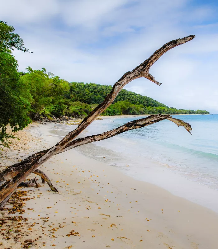 Marie Galante Guadeloupe
