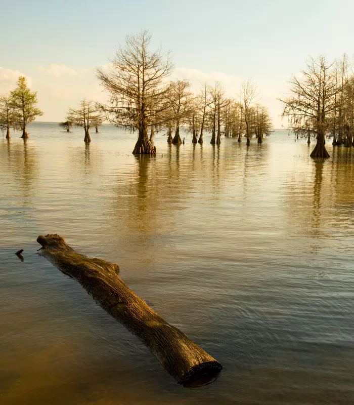 Marion South Carolina
