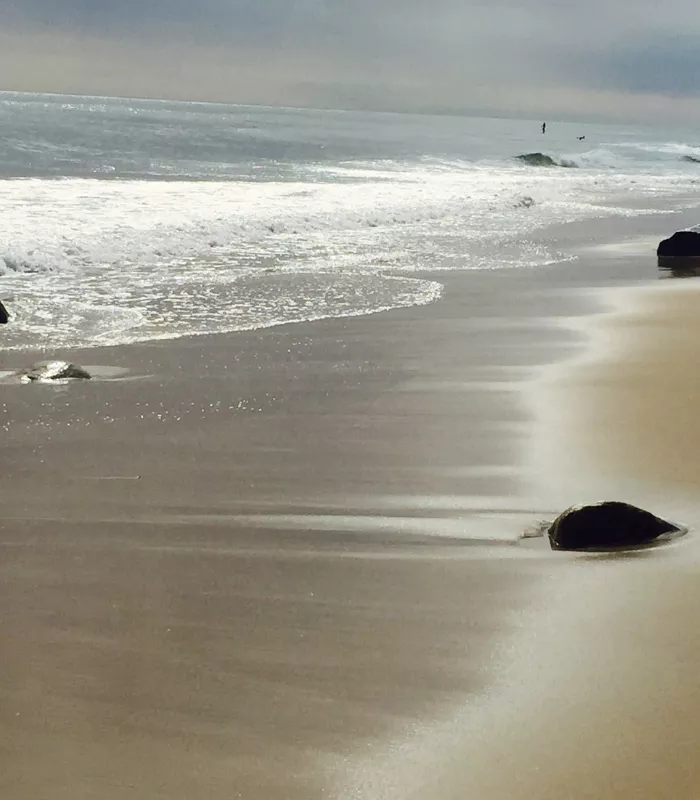 Montauk New York.webp