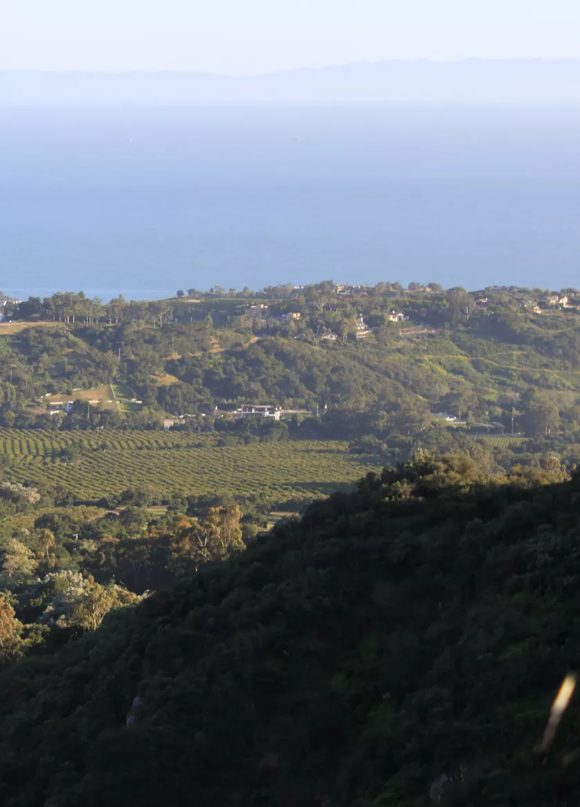 Montecito California 1