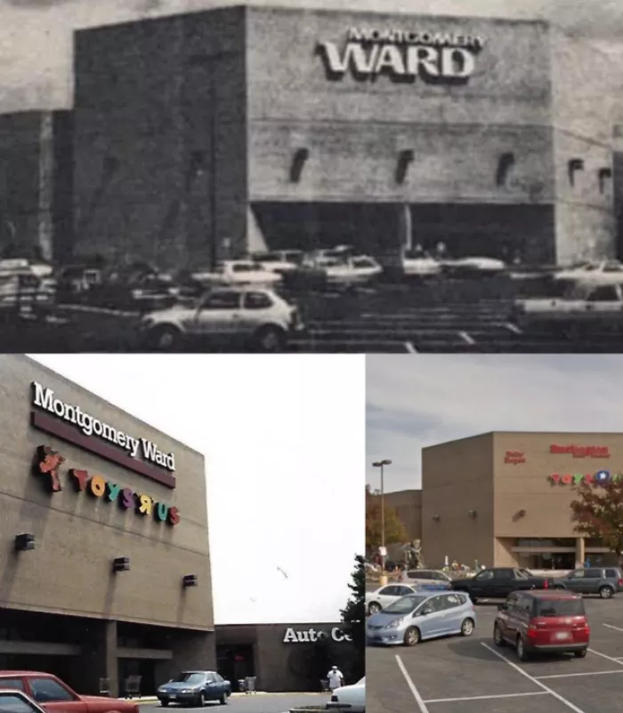 Montgomery Ward 1