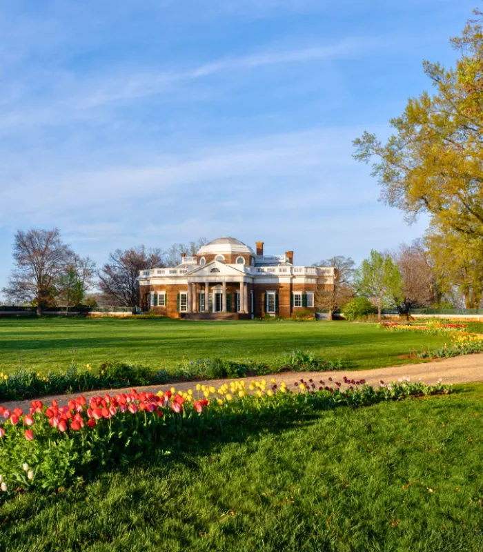 Monticello 1