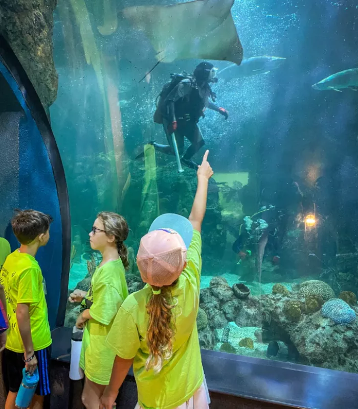 Moody Gardens Galveston