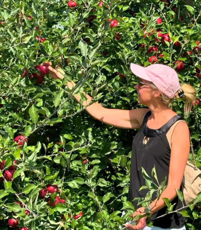 Most Fall Orchards