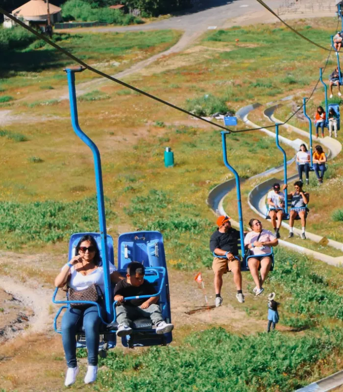 Mount Hood Skibowl Alpine Slide Government Camp
