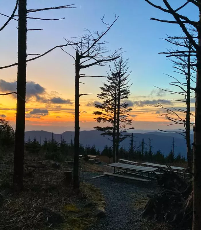 Mount Mitchell State Park Campground