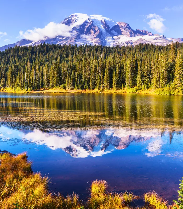 Mount Rainier National Park Washington