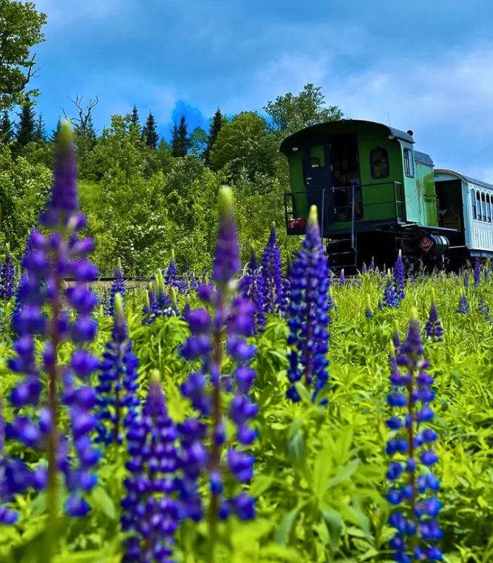 Mount Washington Cog Railway Gift Shop