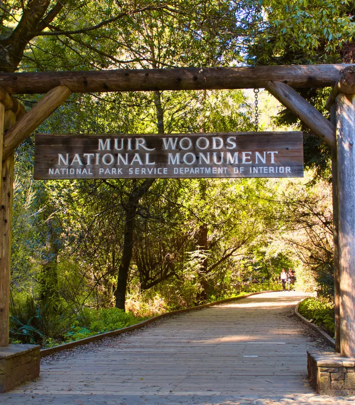Muir Woods National Monument Marin County