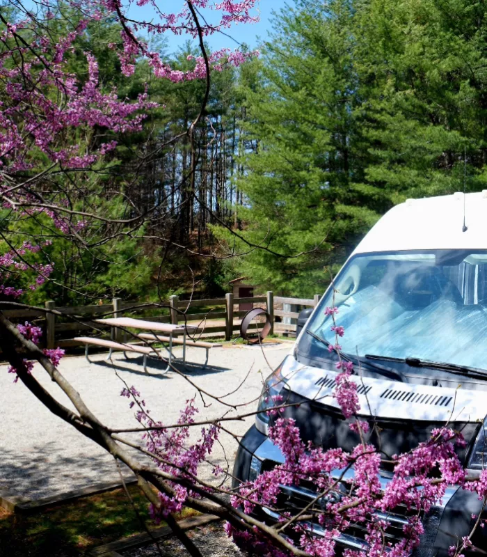 New River State Park Campground